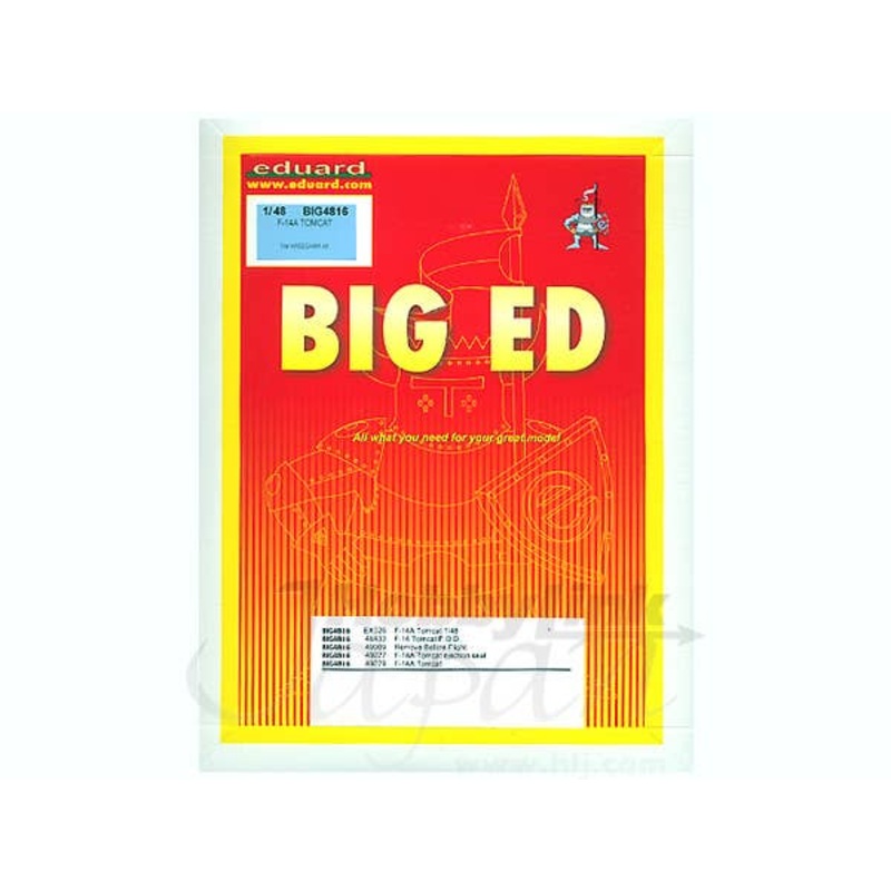 1/48 F-14A (for Hasegawa) Big Ed set