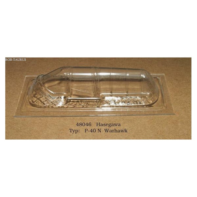 1/48 P-40N Warhawk Canopy (for Hasegawa)