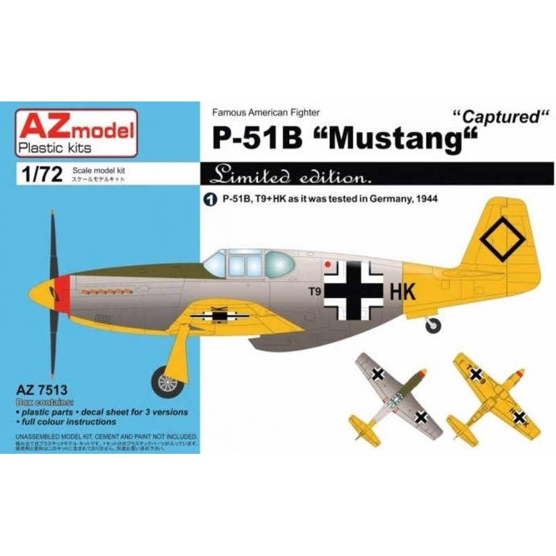 1/72 P-51B "Mustang" Captured