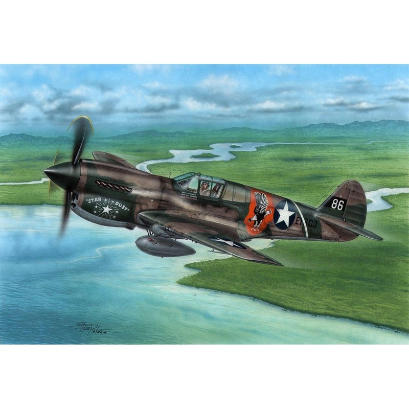 1/72 P-40E Warhawk Claws and Teeth