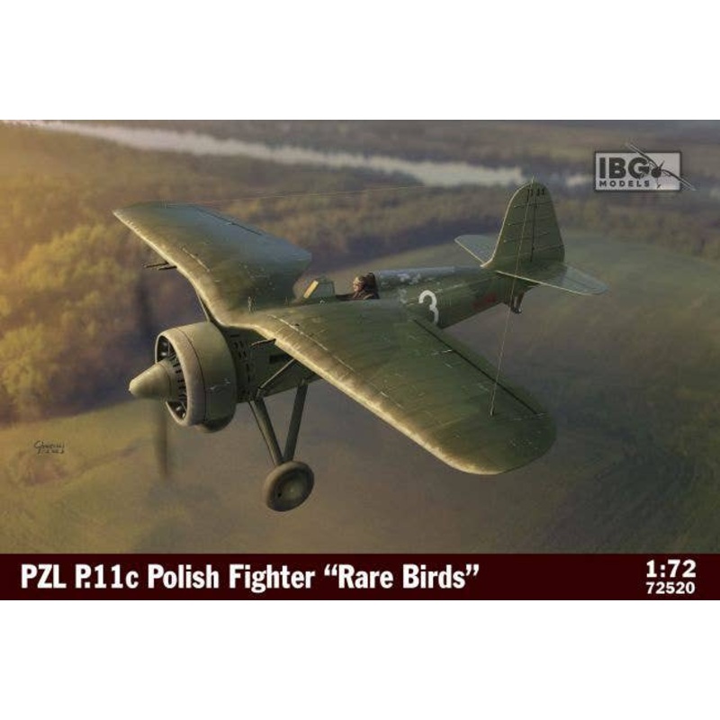 1/72 PZL P.11c Polish Fighter "Rare Birds"