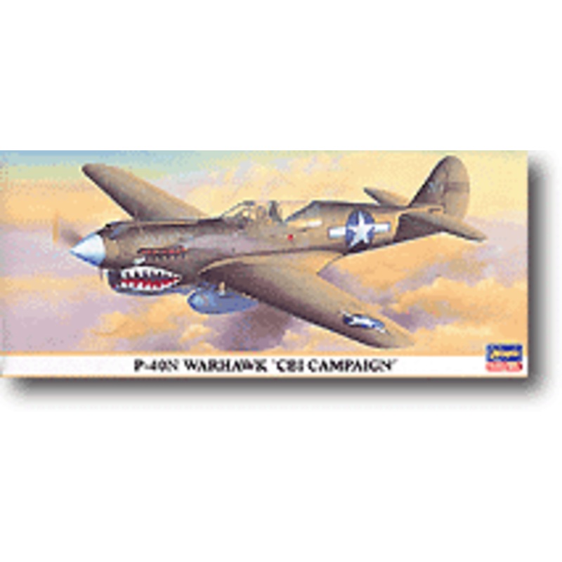 1/72 P-40N Warhawk "CBI Campaign"