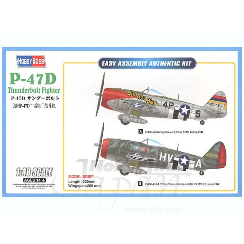 1/48 P-47D Thunderbolt Fighter