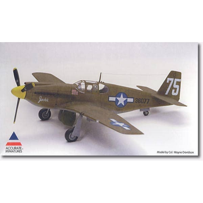 1/48 P-51A Mustang