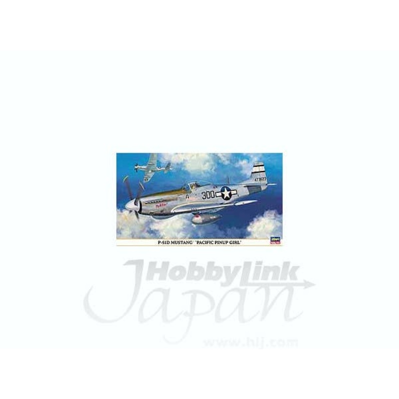 1/48 P-51D Mustang Pacific PinUp Girl