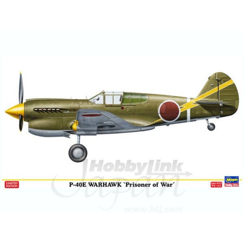 1/48 P-40E Warhawk Prisoner of War Ltd.