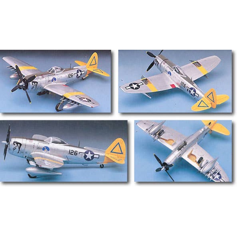 1/48 P-47N Thunderbolt "Expected Goose"