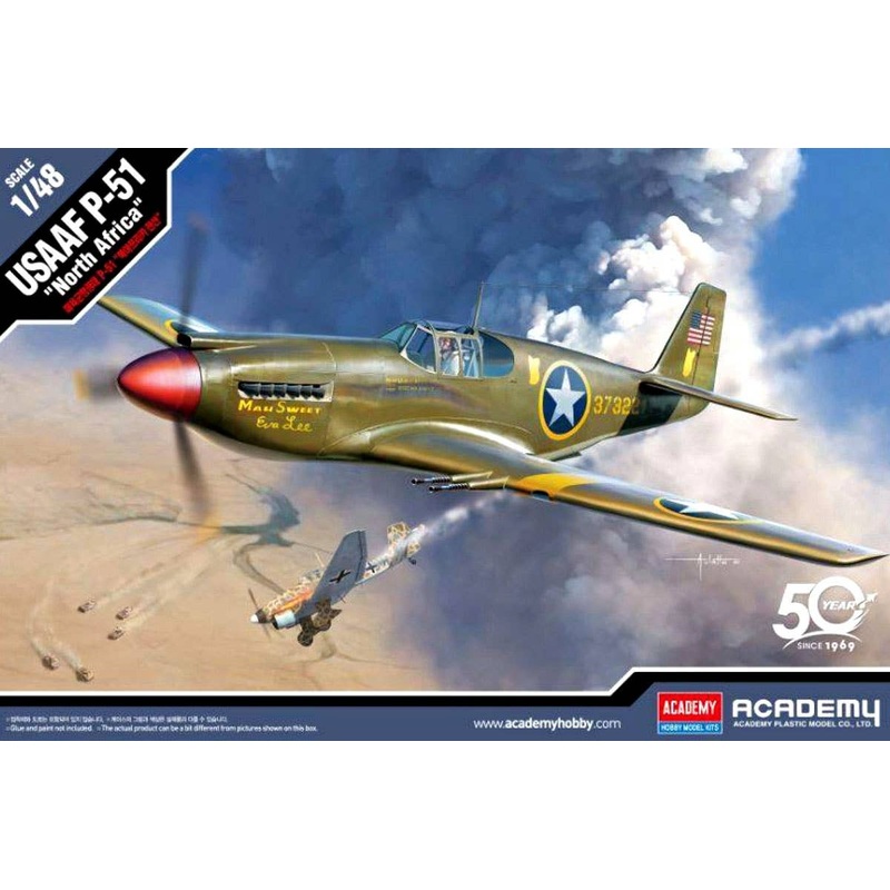 1/48 P-51 Mustang North African Campaign