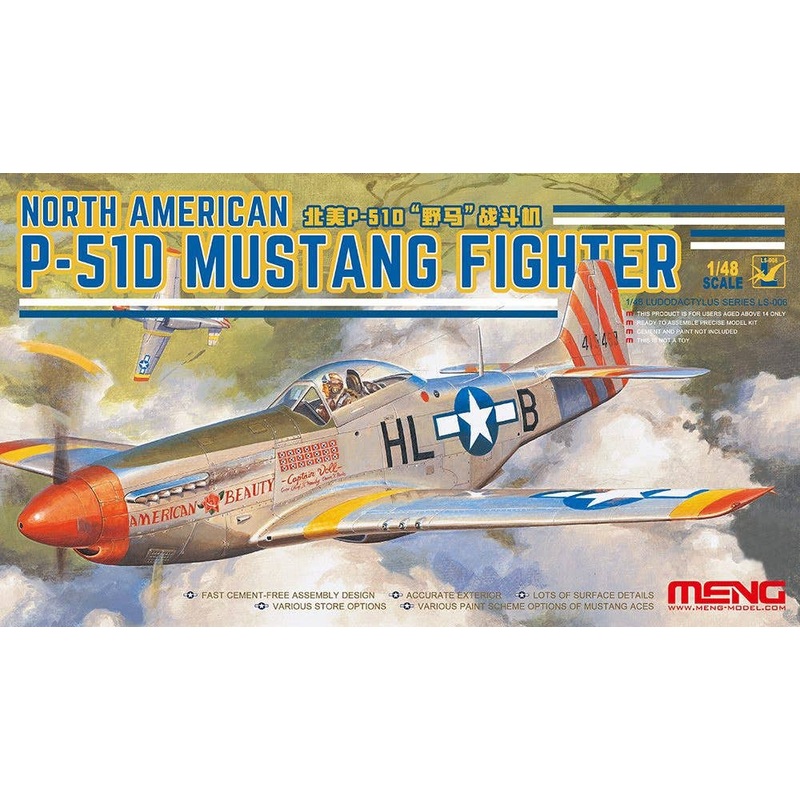 1/48 North American P-51D Mustang Fighter