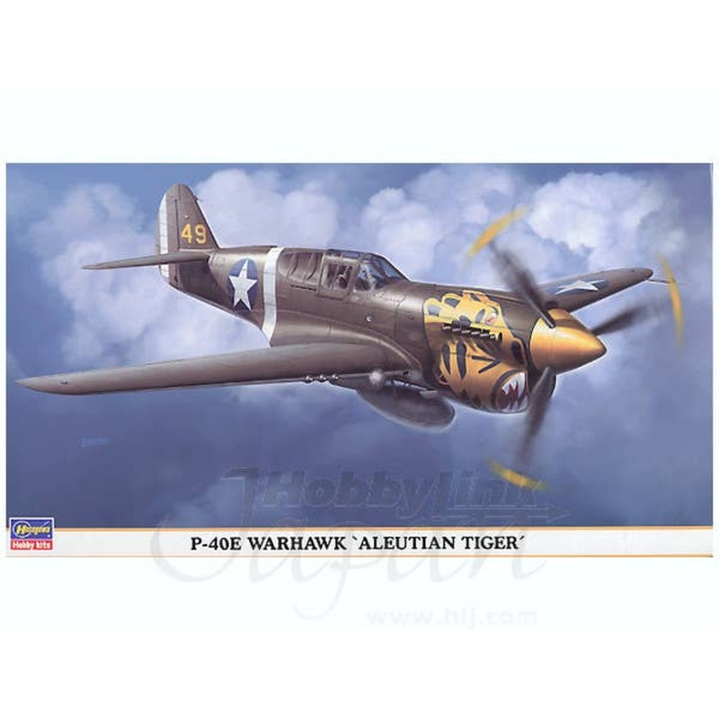 1/48 P-40E Warhawk Aleutian Tiger