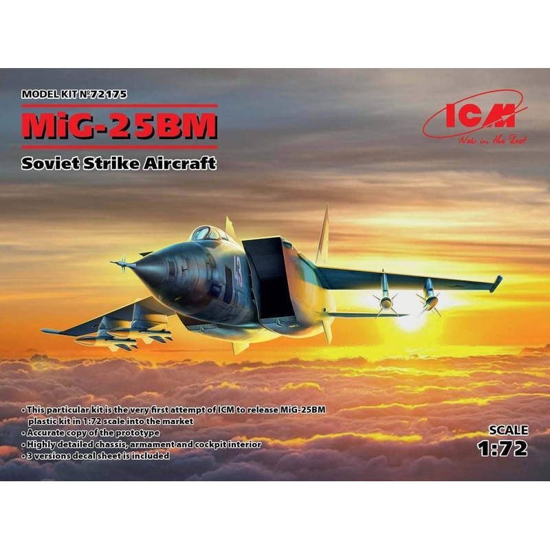 1/72 MiG-25 BM, Soviet Strike Aircraft