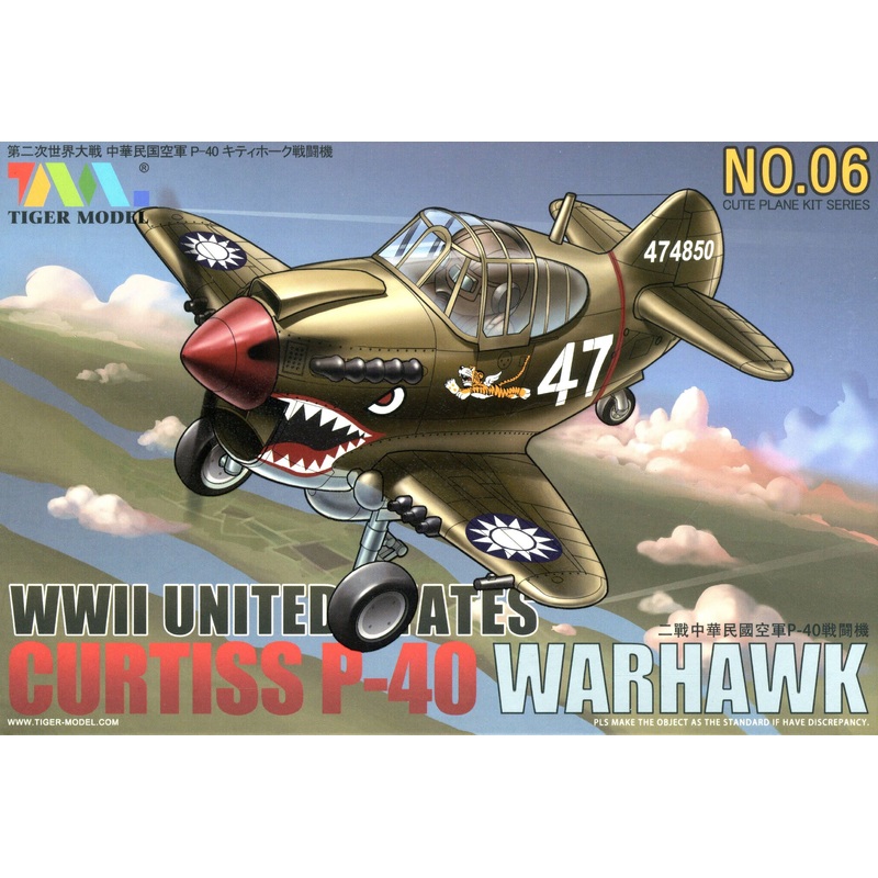 Cute Fighter P-40 Warhawk Fighter