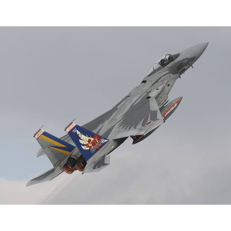 1/72 F-15J Eagle 204SQ 50th Anniversary Special Paint