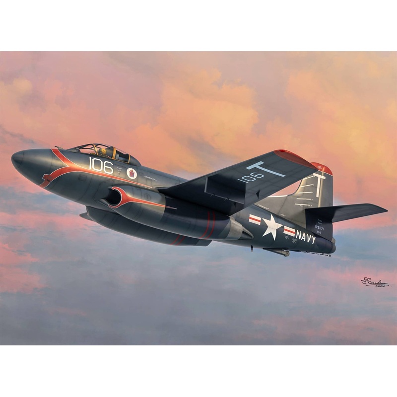 F3D-2 Skyknight VF-11/VMF(N)513