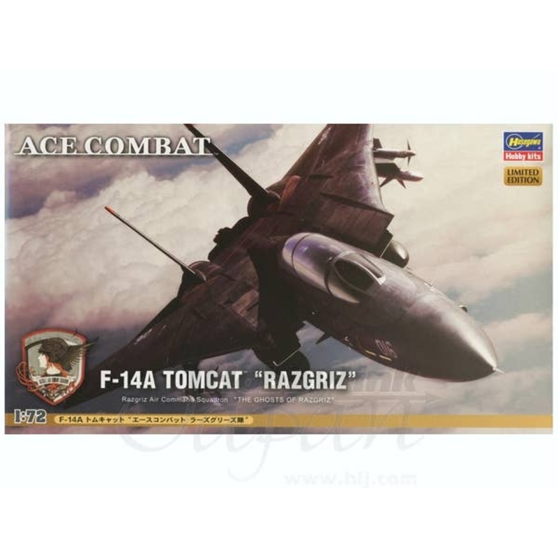 1/72 F-14A Tomcat Ace Combat Razgriz