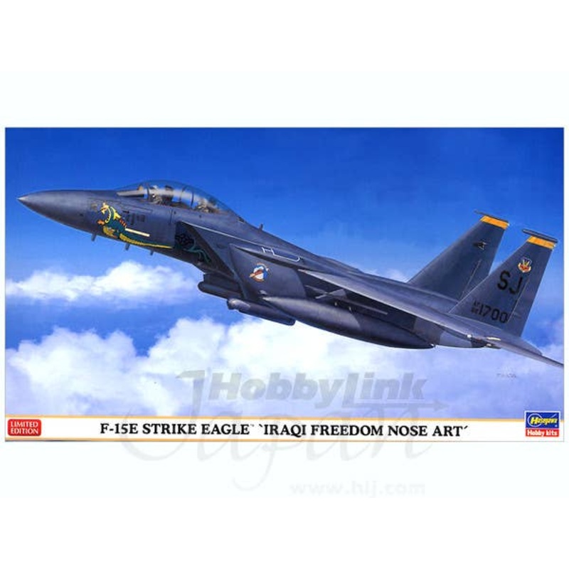 1/72 F-15E Strike Eagle Iraqi Freedom Nose Art
