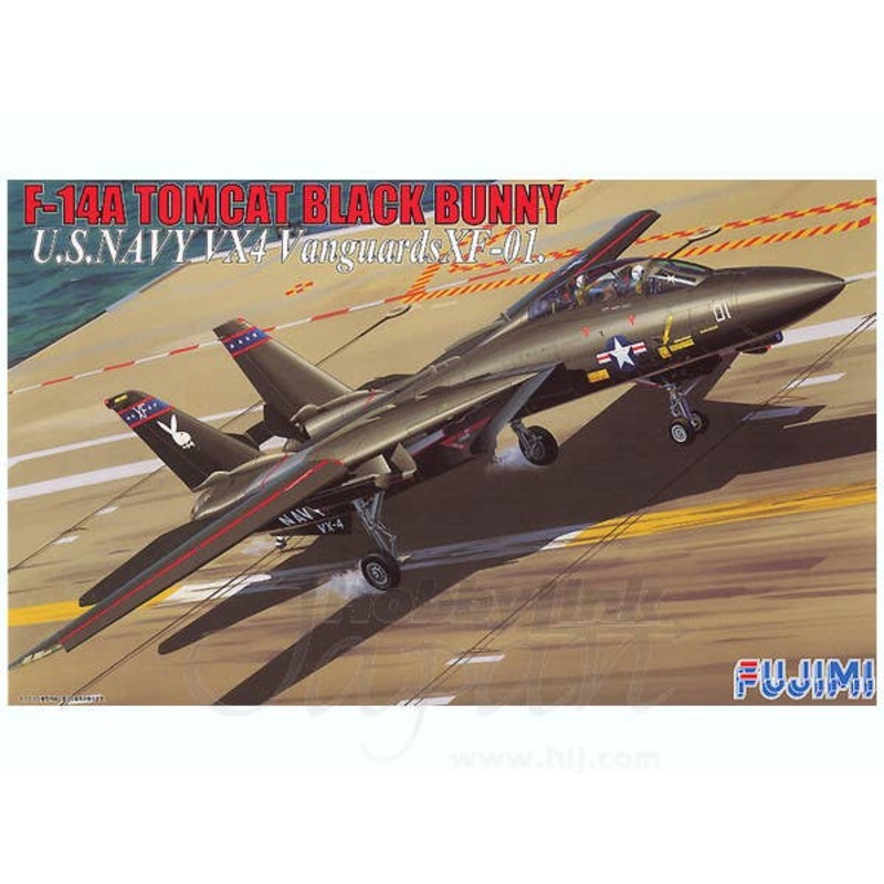 1/48 F-14A Tomcat Black Bunny