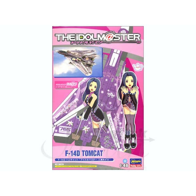 1/48 F-14D Tomcat Idolmaster Azusa Miura