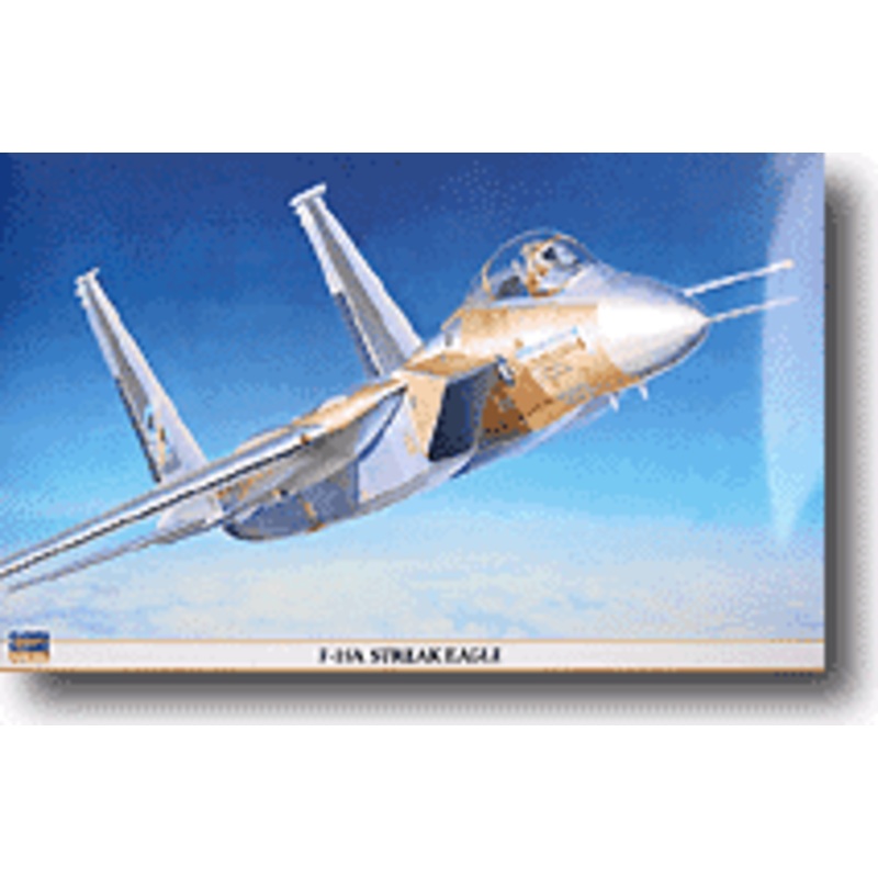 1/48 F-15A "Streak Eagle"