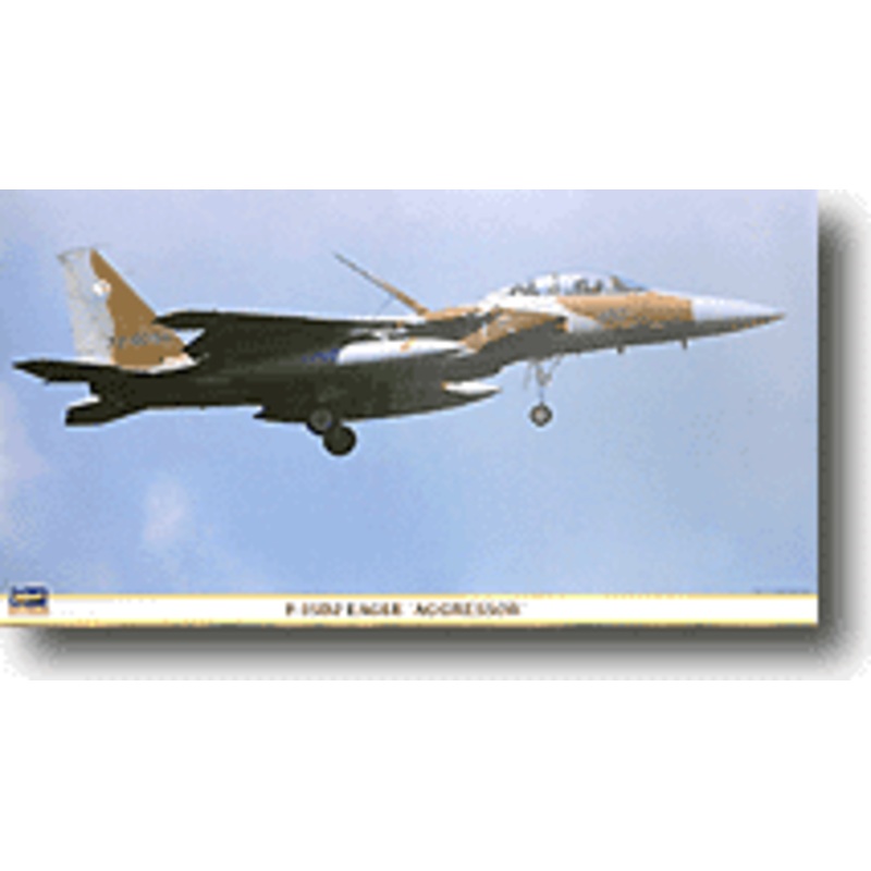 1/48 F-15DJ Eagle "FTW Aggressor"