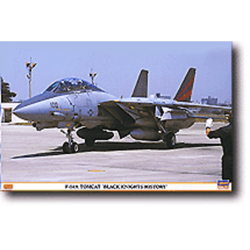 1/48 F-14A Tomcat Black Knight History