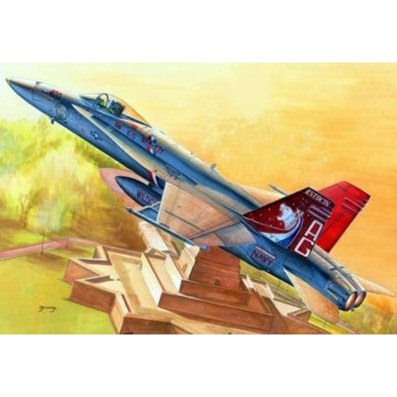 1/48 F/A-18C Hornet
