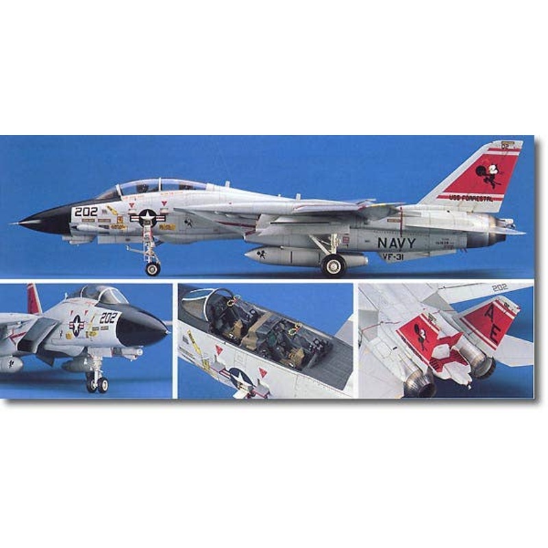 1/48 F-14A Tomcat "Atlantic Fleet Squadrons"