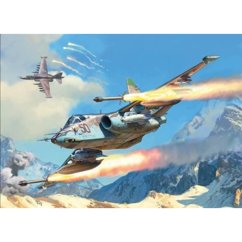1/48 Sukhoi Su-25 Frog Foot