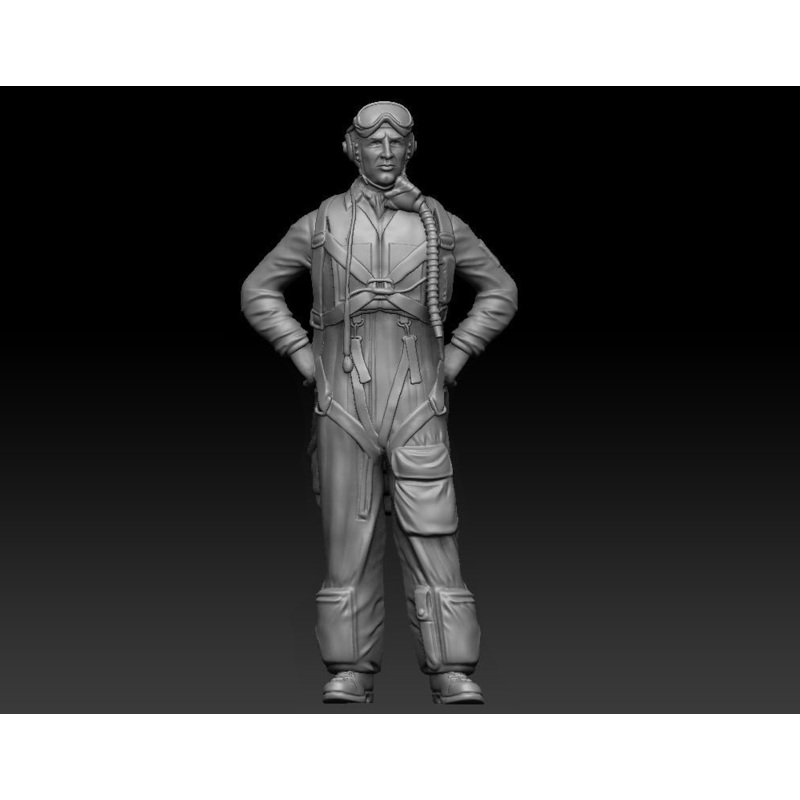 1/72 Swedish Airforce J21 Pilot