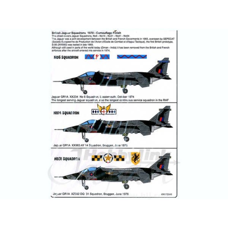 1/72 British Jaguar Sqadrons 1970-Camouflage Finish