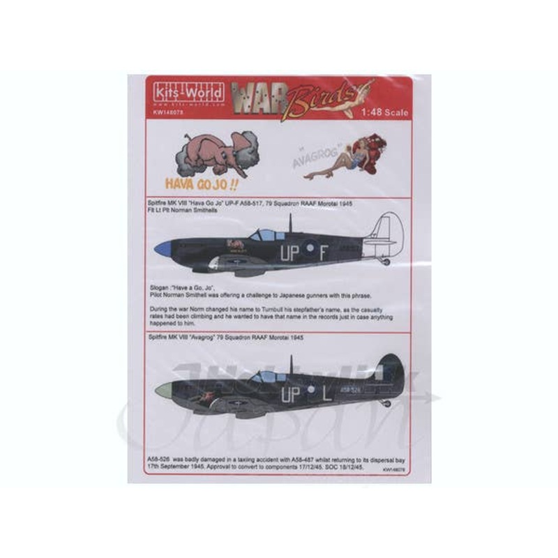 1/48 Royal Air Force Spitfire Mk. VIII Hava Go Jo & Avagrog