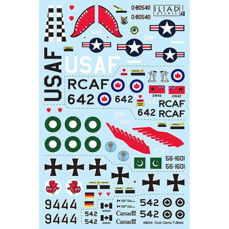 1/48 T-33 Cool Camouflage T-Bird