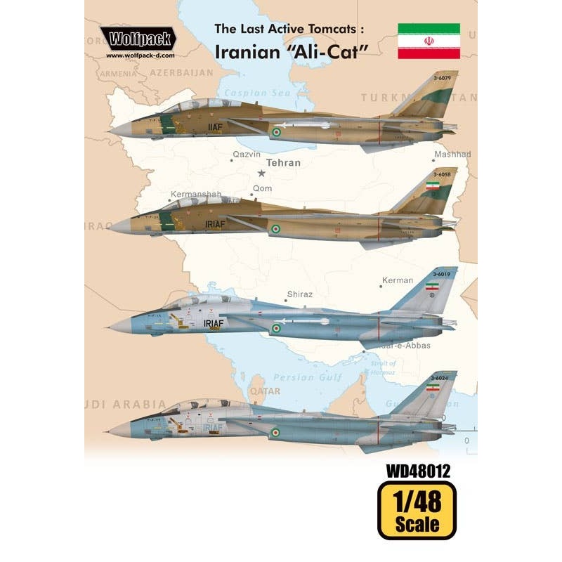 1/48 The Last Active Tomcats: Iranian "Ali-Cat" for Tamiya
