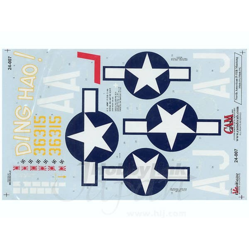 1/24 P-51B Mustang Ding Hao !