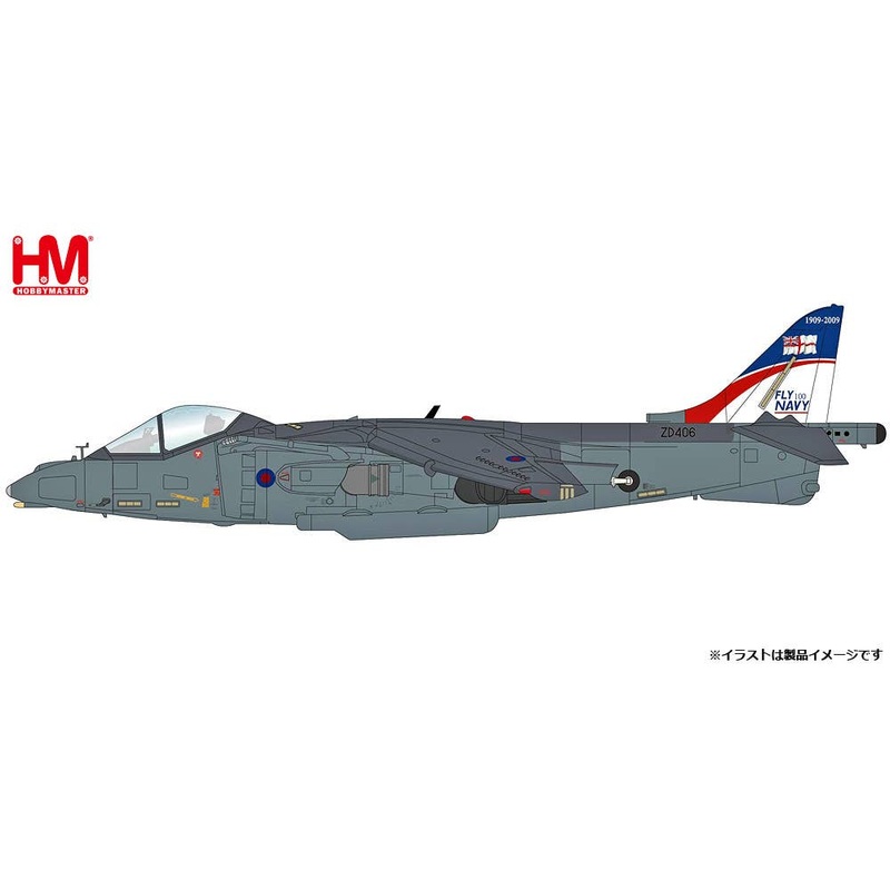 1/72 Harrier GR.9 Royal Naval Air Wing RAF Cottemore 2009