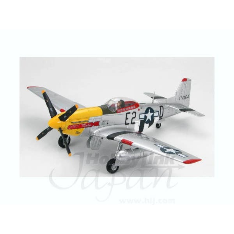 1/48 P-51D Mustang Detroit Miss
