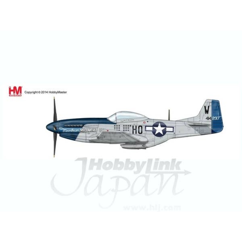 1/48 P-51D Mustang Moonbeam McSwine