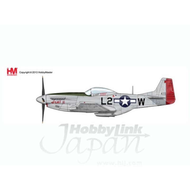 1/48 P-51D Mustang SCAT IV