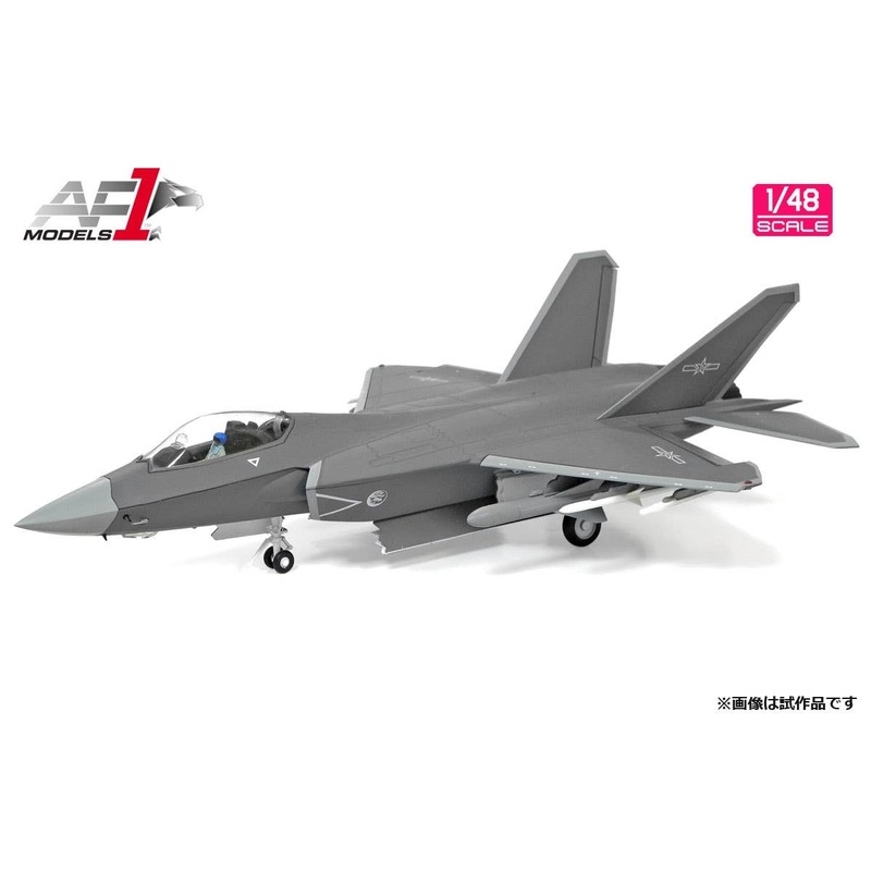 1/48 Shenyang Stealth Technology Demonstrator J-31