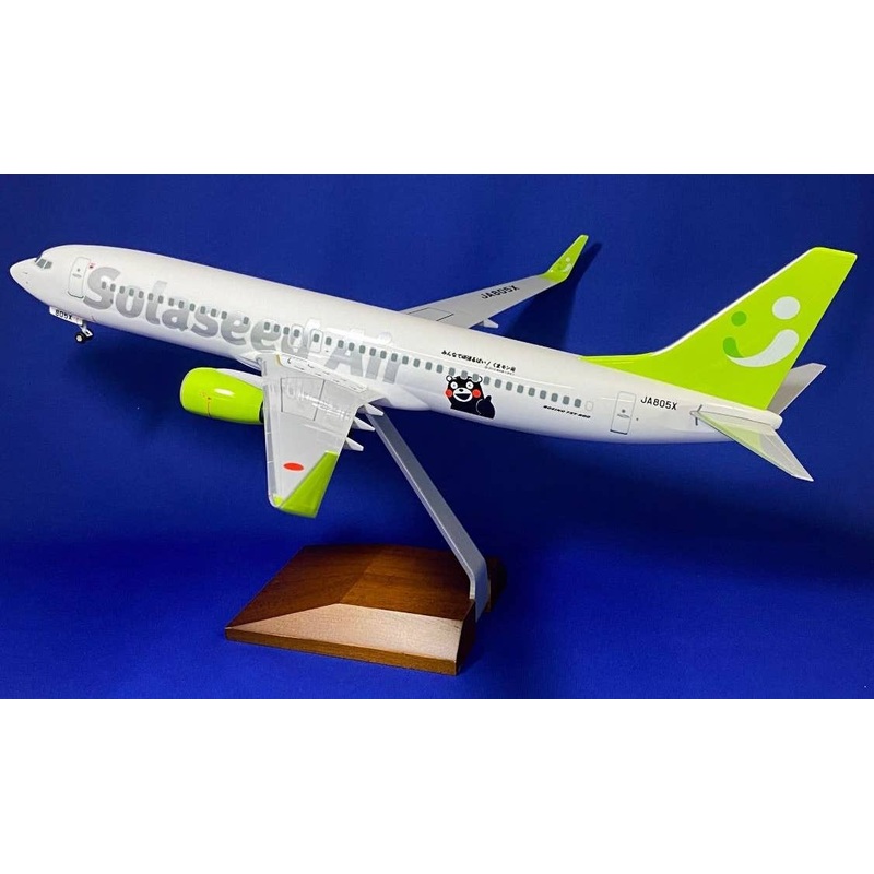 1/100 Kumamon Special Painting Machine Solaseed Ai Boeing 737-800