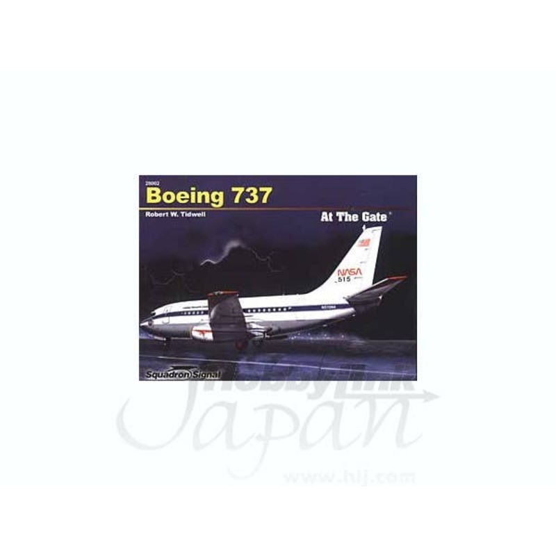 Boeing 737 at the Gate