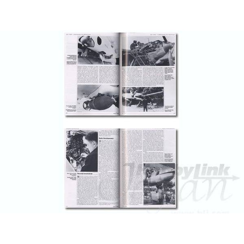 Messerschmitt Bf110 Vol. 1