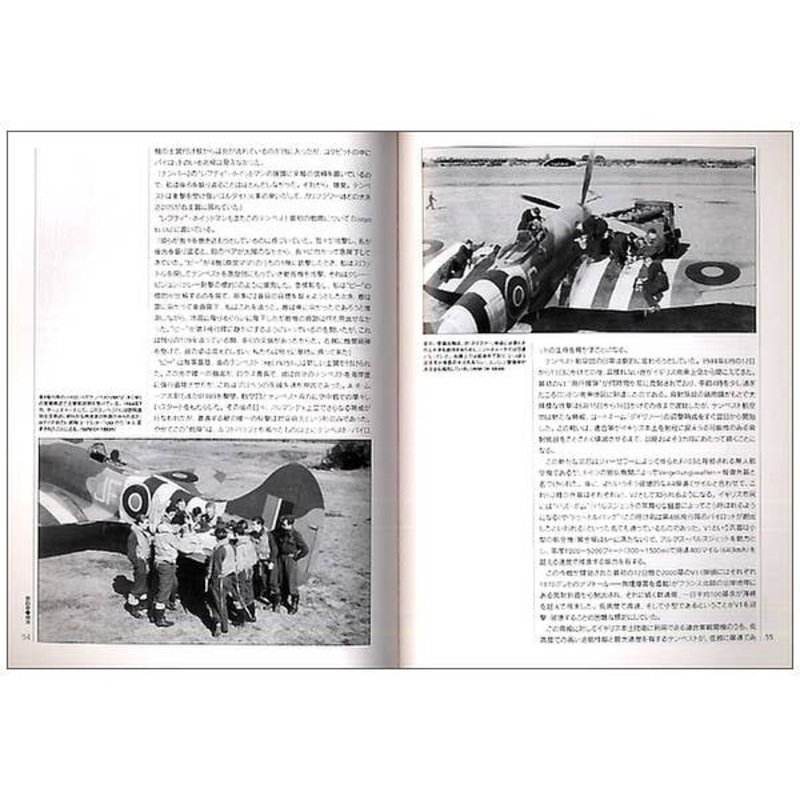 Typhoon and Tempest Aces of WWII