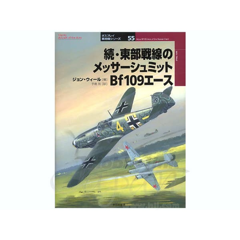 More Bf109 Aces of the Russian Front