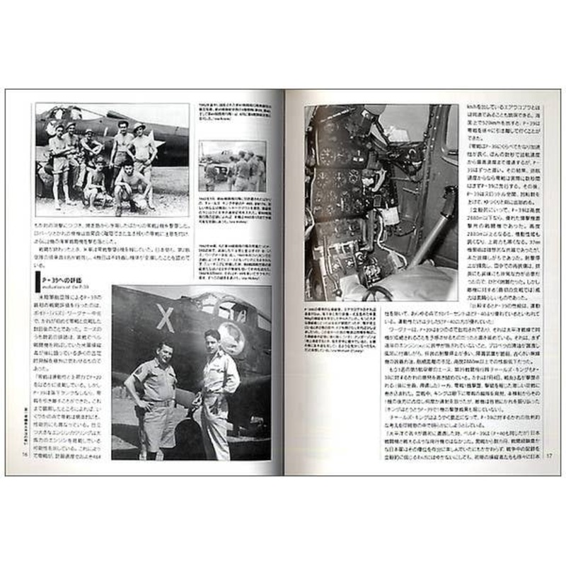 P-39 Airacobra Aces Of WWII
