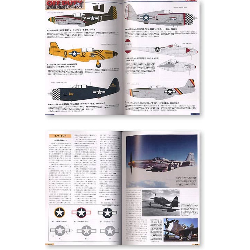 Camo & Marking of The USAAF in WWII Europe