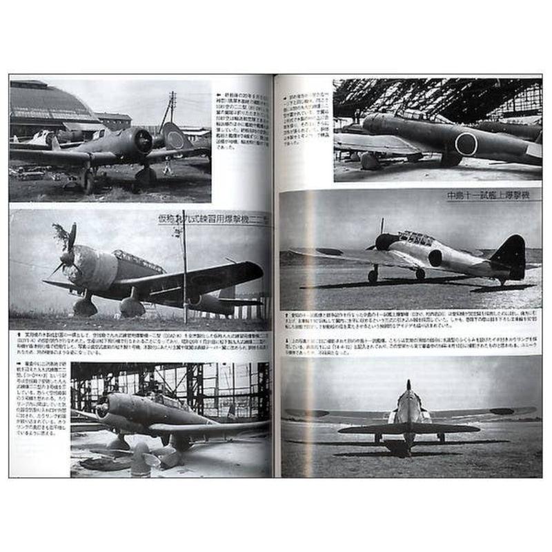 Famous Airplanes #130: IJN Type 99 Carrier Based Dive Bomber Val