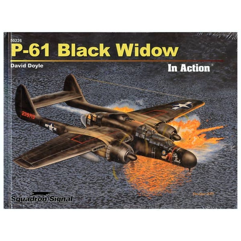 P-61 Black Widow In Action