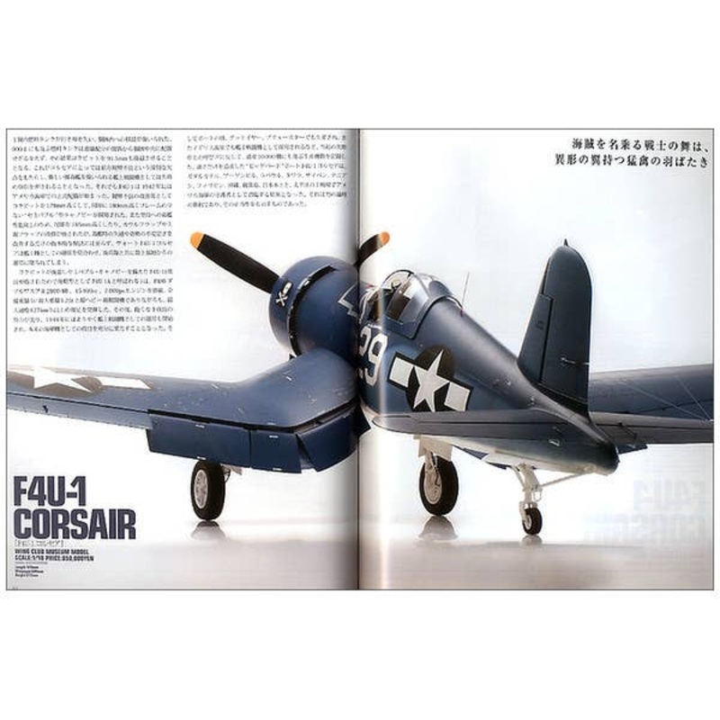 War Birds & Fighter Aircraft Model Magazine