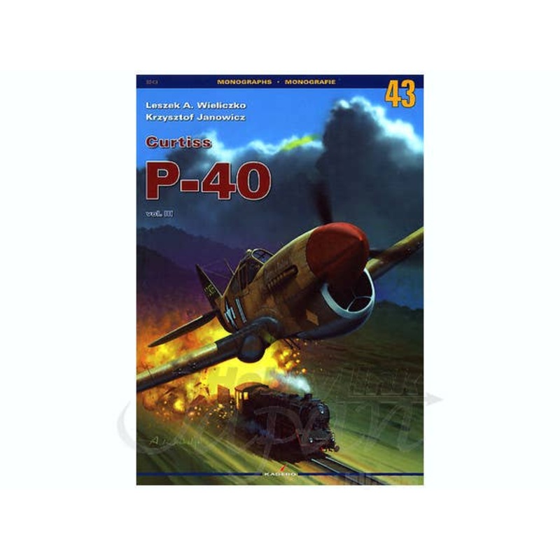 Curtiss P-40 Vol.3